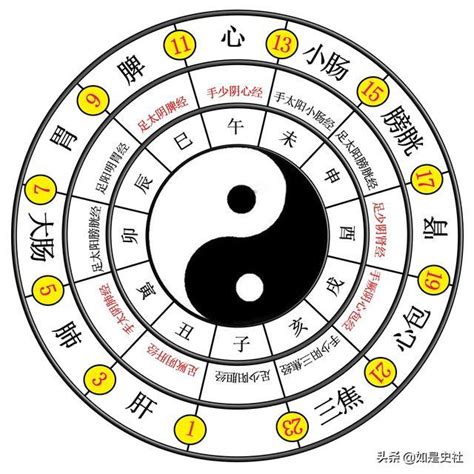 太極生兩儀兩儀生四象四象生八卦意思|易有太極，始生兩儀。兩儀生四象，四象生八卦。怎麼。